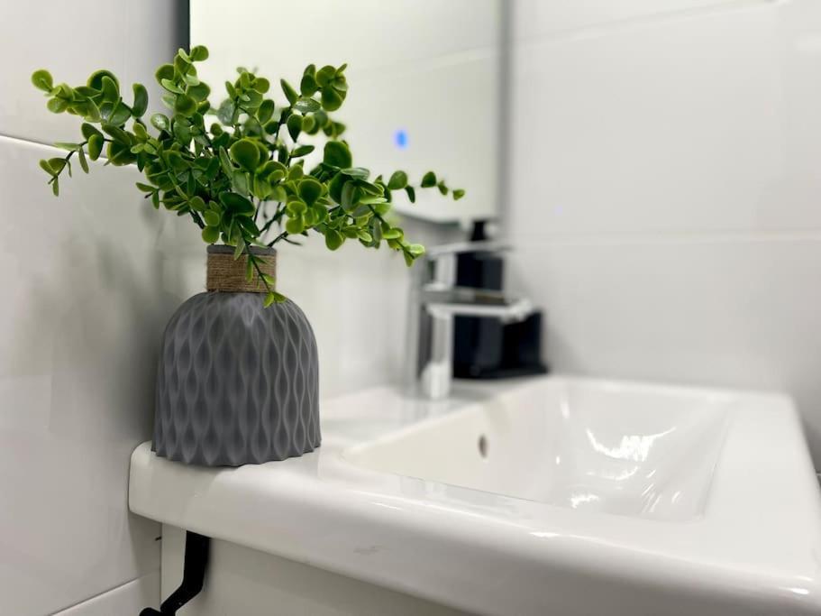 Elegancia Junto Al Rectorado. Apartment Cordoba Ngoại thất bức ảnh