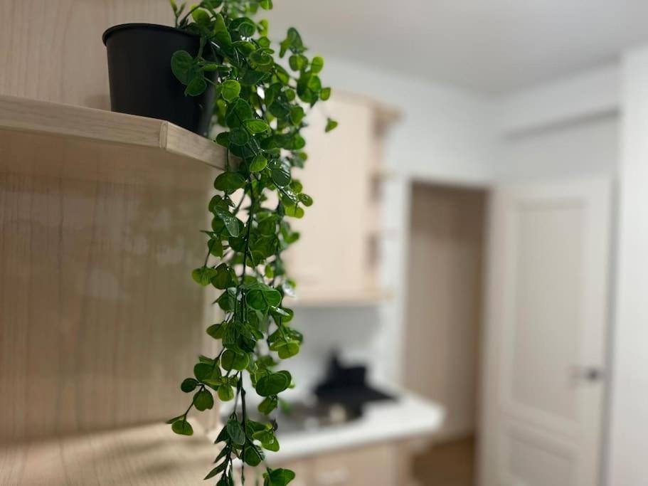 Elegancia Junto Al Rectorado. Apartment Cordoba Ngoại thất bức ảnh