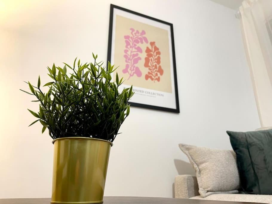 Elegancia Junto Al Rectorado. Apartment Cordoba Ngoại thất bức ảnh