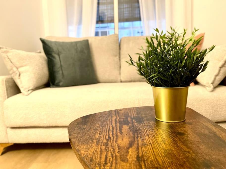 Elegancia Junto Al Rectorado. Apartment Cordoba Ngoại thất bức ảnh